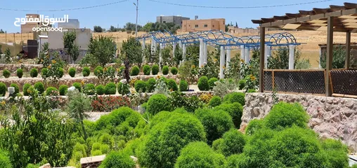  2 مزرعة فاخرة جدا مع بركة سباحة وملاعب في منطقة حوارة . جنوب عمان بسعر مميز