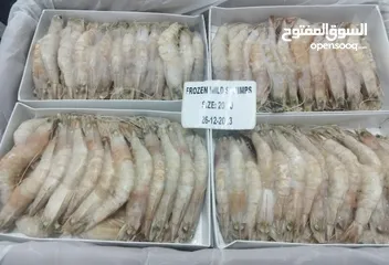  3 ارباح 50بلمئه خلال 90 يوم (للجادين)