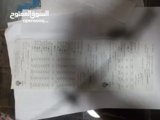  6 كادي شخصي طويل 2014