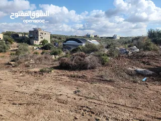  6 حصة بمنطقة الحرايق