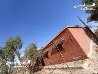  15 بيت مستقل للبيع في الهاشميه حي الفيحاء