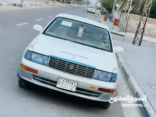  8 بطه مكفوله