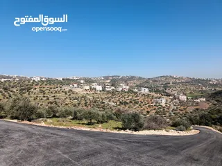  1 ارض مميزة للبيع غرب عمان حوض ام فروة مساحة 1385 متر