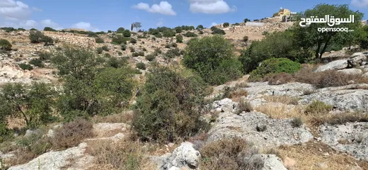  6 أرض طابو مطلة ومشجرة بسعر مغري