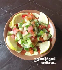  8 مشروع المليون دينار فقط لأصحاب مطاعم الحمص والفول والفلافل والمستثمرين من يرغب الأستثمار في المشروع