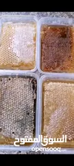  13 عسل طبيعي 100% وجميع منتجات النحل شركة كاشور للعسل الطبيعي تقدم لكم الأفضل دائما