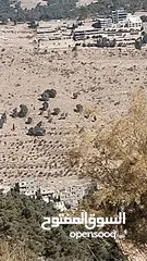  1 للبيع 6 دونم ونصف في السلط المغاريب حوض الوطيه