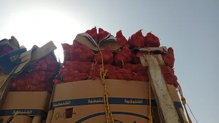  9 تصدير من اليمن إلى الخليج