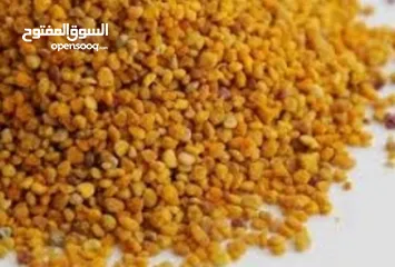  12 عسل طبيعي 100% سدر حمضي جبلي  ومضمون وشمع بالعسل وغداء الملكات