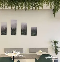  3 مطعم في الطيره