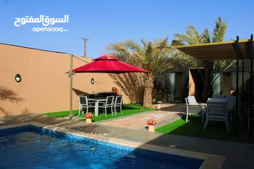  1 شاليه النخيل وجهتك الصحيحه