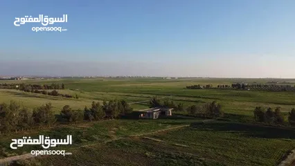  9 قطعة ارض للبيع جلول دونم 1000 متر مربع قرب التنظيم مباشرة شوارع مميزة