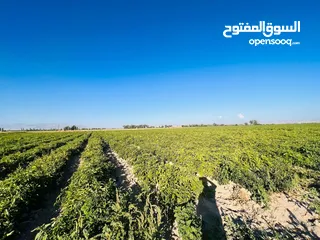  2 ارض زراعية كبيرة في قونيا - Konya'da geniş tarım arazisi