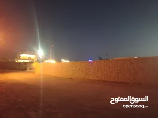  10 معمل اجبان أو مخللات