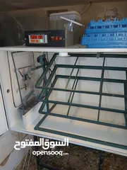  7 فقاسه اتوماتيك