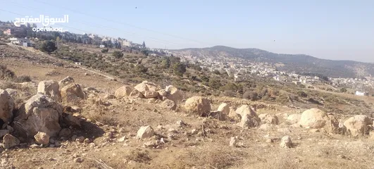  9 الكمشة شمال شفابدران