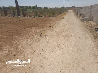  4 ارض للبيع في المفرق