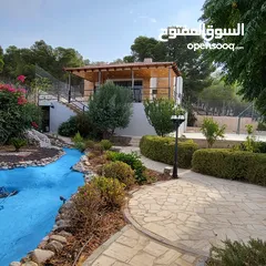  9 فرصة استثمارية للباحثين عن الهدوء والتميز ، شاليه مميز ضمن كومباوند وفي منطقة مطلة على سد الملك طلال