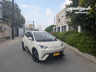  1 seagull EV سيجل كهربائية