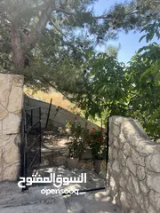  12 ششقق مفروشه ومستقله في جبال عجلون