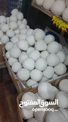  20 جميد كركي سمنه بلدي جبنة غنم