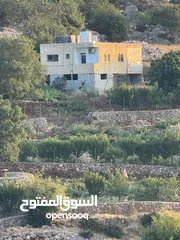  1 مزرعة في عجلون رأس منيف للبيع