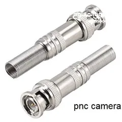  14 راسية RCA متوفر ذكر وانثى