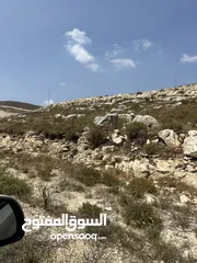  3 دونم للبيع بسعر مغري في بيت امرين قريب جدا من الخدمات و البناء