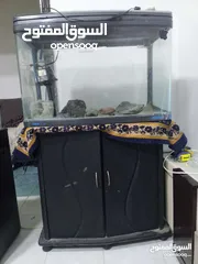  1 حوض سمك اجنبي النوع جيبو  القياس 80
