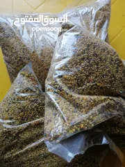  1 غذاء ملكات حبوب لقاح عسل طبيعي