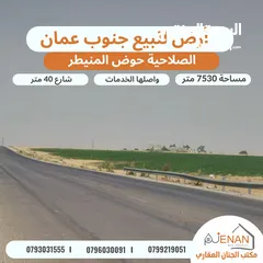  3 أرض مميزة للبيع الصلاحية حوض (3) المنيطر على شارع ال 40 المؤدي الى مادبا مساحة 7530 متر مستوية