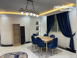  1 شقة مفروشة عباس العقاد