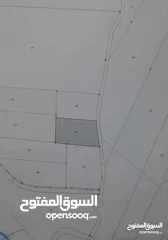  4 ارض زراعية للبيع مساحة 4 دونمات (للبيع فقط)