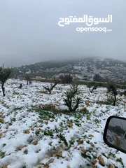  8 فرصة استثمارية! أرض زراعية مميزة بسعر مغري و بالقرب من أحراش الدولة للمزيد من المعلومات اقرأ الوصف