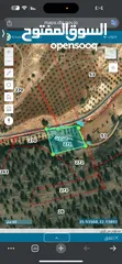  10 ارض مميزه للبيع 3400م2 بيرين صروت بالقرب من شارع الاردن بين اشجار البلوط إطلالة بانوراما