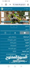  6 أرض للبيع مقلمه