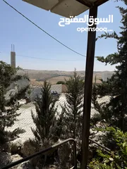  10 مزرعة للبيع