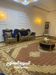  1 تخم قنفات نضيف