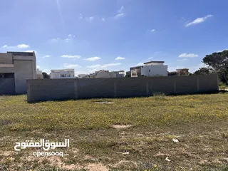  11 أرض في حي الكويت مسورة بالصور وشهاده عقارية وأمورها 100% المساحة حوالي 494 والواجه18.04العمق27.41