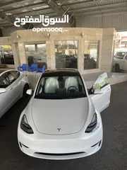  19 Tesla Y 2021 Long Range Dual Motor