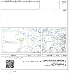  4 دونم أرض للبيع من المالك بالقرب من إشارات مستشفى حمزه ضاحية الاستقلال منطقة النويجيس