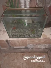  2 حوض سمك للبيع