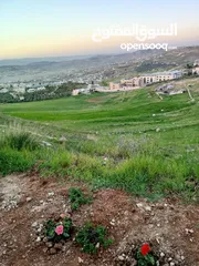 15 شقة للبيع في الجبيهه كاش او اقساط