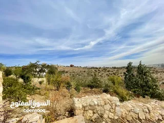  16 أرض مميزة في منطقة النعير 3000 متر