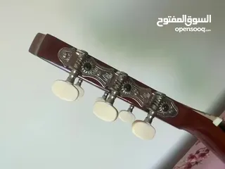  3 جيتار نوع Kapok