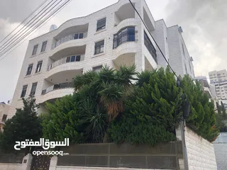  1 عقار للبيع مساحة 213