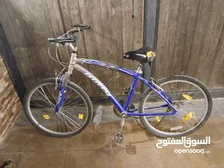  1 بسكليت هافي
