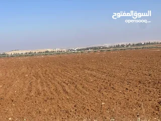  2 اربد قرب جسر النعيمة ارض للبيع زراعية استثمارية مساحة اربعة دونم مفروزة قوشان مستقل حوض مرج الوقفي ‎