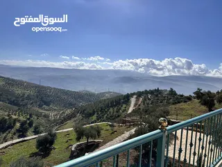  22 مزرعة مميزة في جرش مع بيت طابقين بسعر مميز للبيع