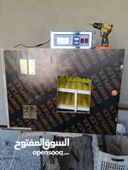  13 فقاسات العوضي تصنيع جميع احجام الفقاسات بجوده عاليه وانتاجيه عاليه ..الاحجام والاسعار بلوصف ادناه